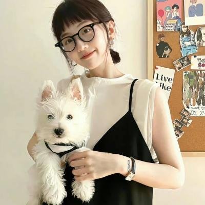 黑街执法者